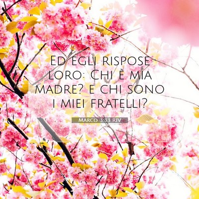 Picture 07 - Marco 3:33 RIV - Ed egli rispose loro: Chi è mia madre? e chi - Bible Verse Picture