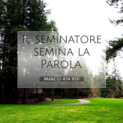 Picture 07 - Marco 4:14 RIV - Il seminatore semina la - Bible Verse Picture