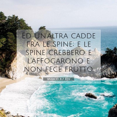 Picture 07 - Marco 4:7 RIV - Ed un’altra cadde fra le spine; e le spine - Bible Verse Picture