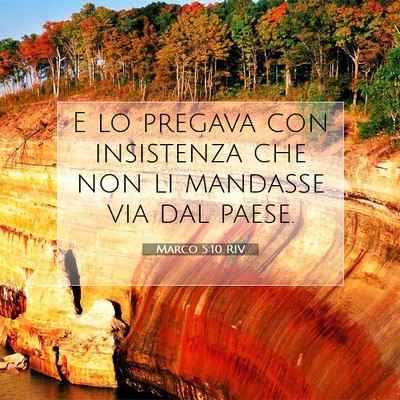 Picture 07 - Marco 5:10 RIV - E lo pregava con insistenza che non li mandasse - Bible Verse Picture