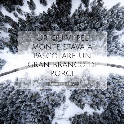 Picture 07 - Marco 5:11 RIV - Or quivi pel monte stava a pascolare un gran - Bible Verse Picture
