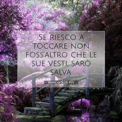 Picture 07 - Marco 5:28 RIV - Se riesco a toccare non foss’altro che le sue - Bible Verse Picture