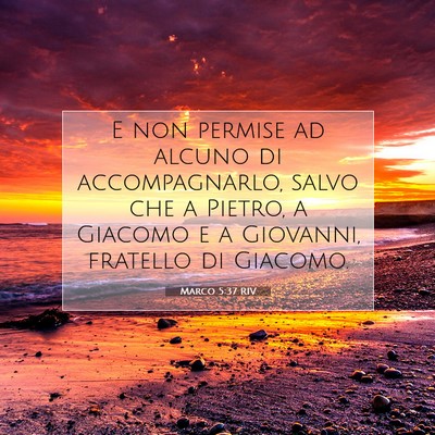 Picture 07 - Marco 5:37 RIV - E non permise ad alcuno di accompagnarlo, salvo - Bible Verse Picture