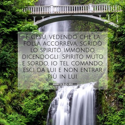 Picture 07 - Marco 9:25 RIV - E Gesù, vedendo che la folla accorreva, sgridò - Bible Verse Picture