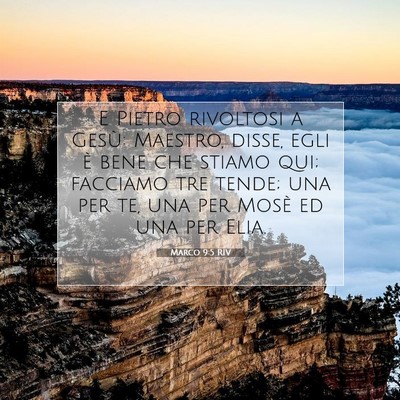 Picture 07 - Marco 9:5 RIV - E Pietro rivoltosi a Gesù: Maestro, disse, egli - Bible Verse Picture