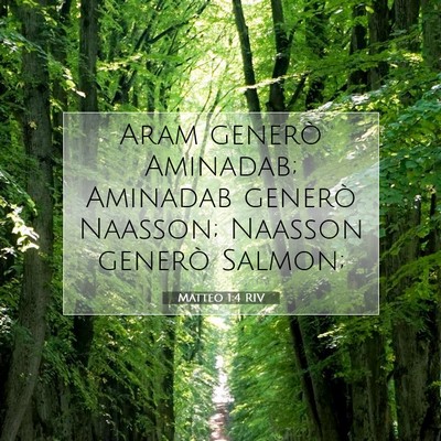 Picture 07 - Matteo 1:4 RIV - Aram generò Aminadab; Aminadab generò Naasson; - Bible Verse Picture