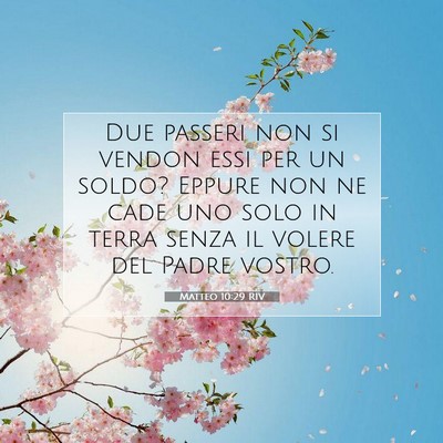 Picture 07 - Matteo 10:29 RIV - Due passeri non si vendon essi per un soldo? - Bible Verse Picture