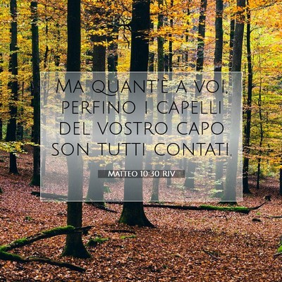 Picture 07 - Matteo 10:30 RIV - Ma quant’è a voi, perfino i capelli del vostro - Bible Verse Picture