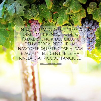 Picture 07 - Matteo 11:25 RIV - In quel tempo Gesù prese a dire: Io ti rendo - Bible Verse Picture