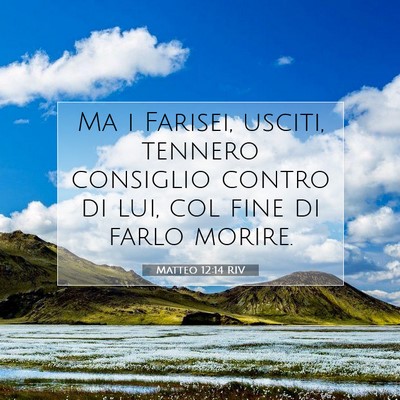 Picture 07 - Matteo 12:14 RIV - Ma i Farisei, usciti, tennero consiglio contro di - Bible Verse Picture
