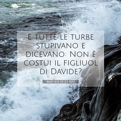 Picture 07 - Matteo 12:23 RIV - E tutte le turbe stupivano e dicevano: Non è - Bible Verse Picture