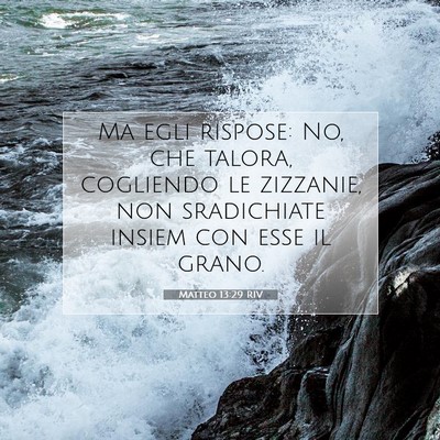 Picture 07 - Matteo 13:29 RIV - Ma egli rispose: No, che talora, cogliendo le - Bible Verse Picture