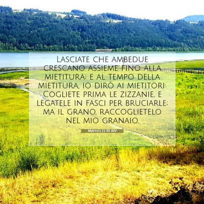 Picture 07 - Matteo 13:30 RIV - Lasciate che ambedue crescano assieme fino alla - Bible Verse Picture