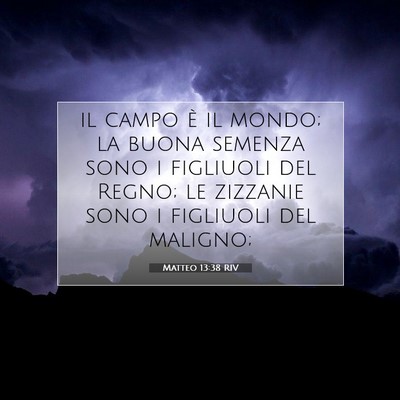 Picture 07 - Matteo 13:38 RIV - il campo è il mondo; la buona semenza sono i - Bible Verse Picture