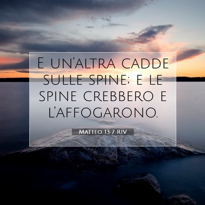 Picture 07 - Matteo 13:7 RIV - E un’altra cadde sulle spine; e le spine - Bible Verse Picture