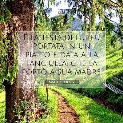 Picture 07 - Matteo 14:11 RIV - E la testa di lui fu portata in un piatto e data - Bible Verse Picture