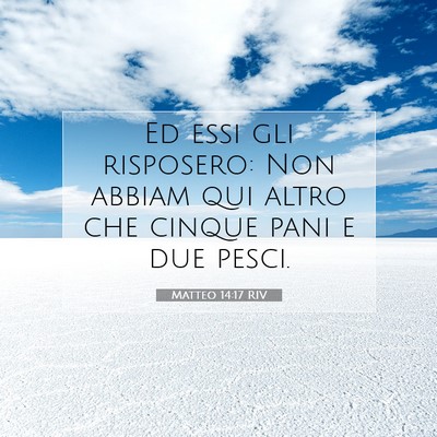 Picture 07 - Matteo 14:17 RIV - Ed essi gli risposero: Non abbiam qui altro che - Bible Verse Picture