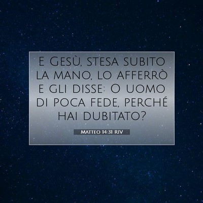 Picture 07 - Matteo 14:31 RIV - E Gesù, stesa subito la mano, lo afferrò e gli - Bible Verse Picture
