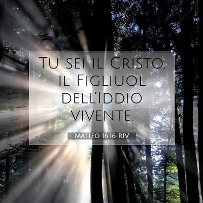 Picture 07 - Matteo 16:16 RIV - Tu sei il Cristo, il Figliuol dell’Iddio - Bible Verse Picture