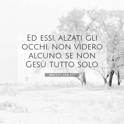 Picture 07 - Matteo 17:8 RIV - Ed essi, alzati gli occhi, non videro alcuno, se - Bible Verse Picture