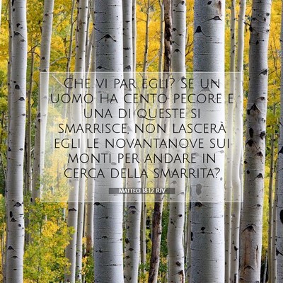 Picture 07 - Matteo 18:12 RIV - Che vi par egli? Se un uomo ha cento pecore e una - Bible Verse Picture