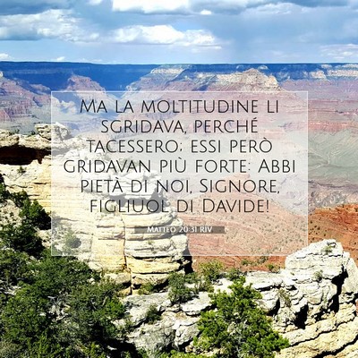 Picture 07 - Matteo 20:31 RIV - Ma la moltitudine li sgridava, perché tacessero; - Bible Verse Picture