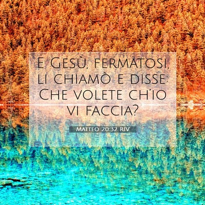 Picture 07 - Matteo 20:32 RIV - E Gesù, fermatosi, li chiamò e disse: Che - Bible Verse Picture