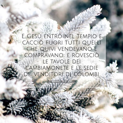 Picture 07 - Matteo 21:12 RIV - E Gesù entrò nel tempio e cacciò fuori tutti - Bible Verse Picture