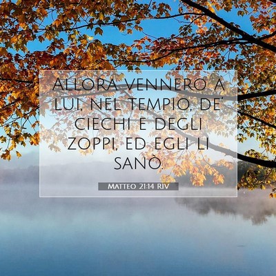 Picture 07 - Matteo 21:14 RIV - Allora vennero a lui, nel tempio, de’ ciechi e - Bible Verse Picture