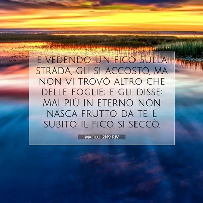 Picture 07 - Matteo 21:19 RIV - E vedendo un fico sulla strada, gli si accostò, - Bible Verse Picture