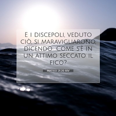 Picture 07 - Matteo 21:20 RIV - E i discepoli, veduto ciò, si maravigliarono, - Bible Verse Picture