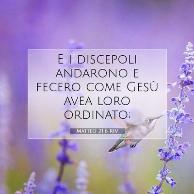 Picture 07 - Matteo 21:6 RIV - E i discepoli andarono e fecero come Gesù avea - Bible Verse Picture