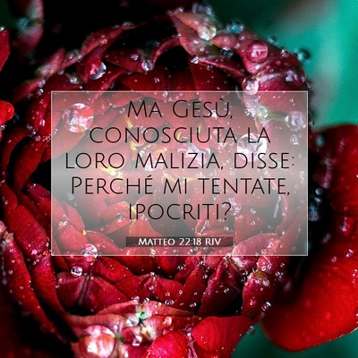 Picture 07 - Matteo 22:18 RIV - Ma Gesù, conosciuta la loro malizia, disse: - Bible Verse Picture