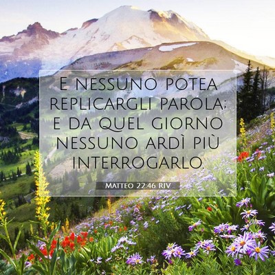 Picture 07 - Matteo 22:46 RIV - E nessuno potea replicargli parola; e da quel - Bible Verse Picture