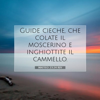 Picture 07 - Matteo 23:24 RIV - Guide cieche, che colate il moscerino e - Bible Verse Picture