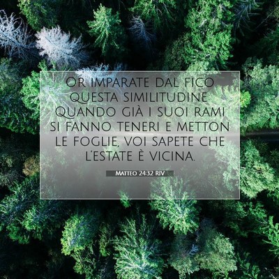 Picture 07 - Matteo 24:32 RIV - Or imparate dal fico questa similitudine: Quando - Bible Verse Picture