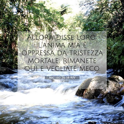 Picture 07 - Matteo 26:38 RIV - Allora disse loro: L’anima mia è oppressa da - Bible Verse Picture