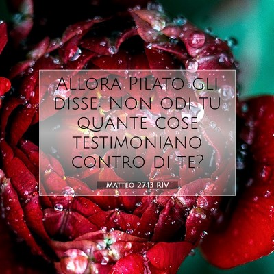 Picture 07 - Matteo 27:13 RIV - Allora Pilato gli disse: Non odi tu quante cose - Bible Verse Picture