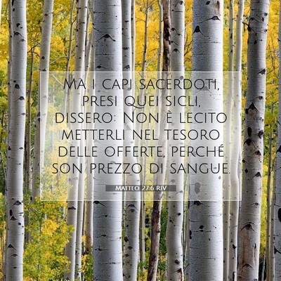 Picture 07 - Matteo 27:6 RIV - Ma i capi sacerdoti, presi quei sicli, dissero: - Bible Verse Picture