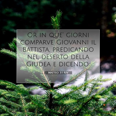 Picture 07 - Matteo 3:1 RIV - Or in que’ giorni comparve Giovanni il - Bible Verse Picture