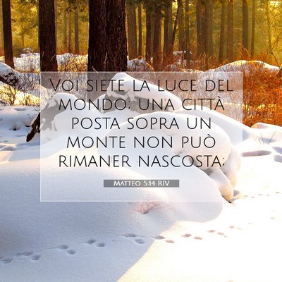 Picture 07 - Matteo 5:14 RIV - Voi siete la luce del mondo; una città posta - Bible Verse Picture