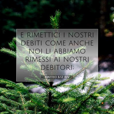 Picture 07 - Matteo 6:12 RIV - e rimettici i nostri debiti come anche noi li - Bible Verse Picture