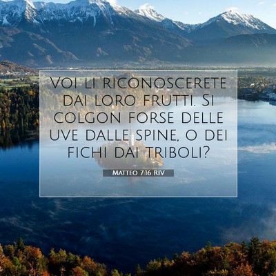 Picture 07 - Matteo 7:16 RIV - Voi li riconoscerete dai loro frutti. Si colgon - Bible Verse Picture