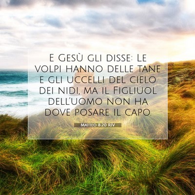 Picture 07 - Matteo 8:20 RIV - E Gesù gli disse: Le volpi hanno delle tane e - Bible Verse Picture