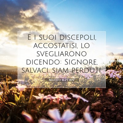 Picture 07 - Matteo 8:25 RIV - E i suoi discepoli, accostatisi, lo svegliarono - Bible Verse Picture
