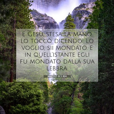 Picture 07 - Matteo 8:3 RIV - E Gesù, stesa la mano, lo toccò dicendo: Lo - Bible Verse Picture