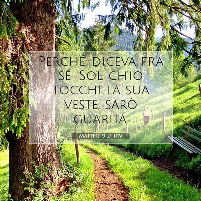 Picture 07 - Matteo 9:21 RIV - Perché, diceva fra sé: Sol ch’io tocchi la - Bible Verse Picture