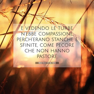 Picture 07 - Matteo 9:36 RIV - E vedendo le turbe, n’ebbe compassione, - Bible Verse Picture