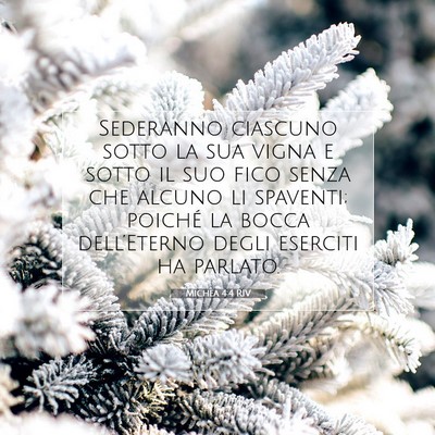 Picture 07 - Michea 4:4 RIV - Sederanno ciascuno sotto la sua vigna e sotto il - Bible Verse Picture