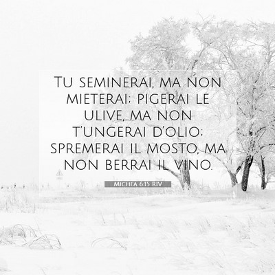 Picture 07 - Michea 6:15 RIV - Tu seminerai, ma non mieterai; pigerai le ulive, - Bible Verse Picture